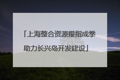 上海整合资源攥指成拳助力长兴岛开发建设