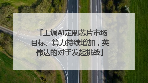 上调AI定制芯片市场目标、算力持续增加，英伟达的对手发起挑战