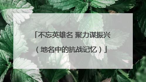 不忘英雄名 聚力谋振兴（地名中的抗战记忆）