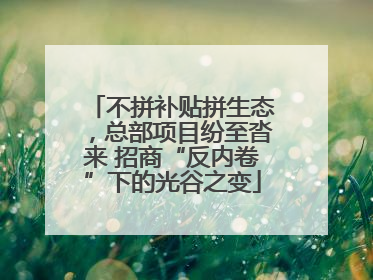 不拼补贴拼生态，总部项目纷至沓来 招商“反内卷”下的光谷之变
