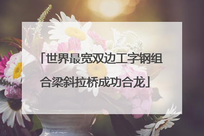 世界最宽双边工字钢组合梁斜拉桥成功合龙