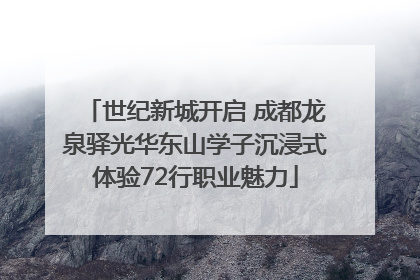 世纪新城开启 成都龙泉驿光华东山学子沉浸式体验72行职业魅力