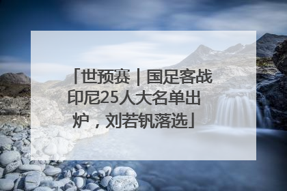 世预赛｜国足客战印尼25人大名单出炉，刘若钒落选