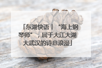 东湖快语丨“海上钢琴师”，属于大江大湖大武汉的诗意浪漫