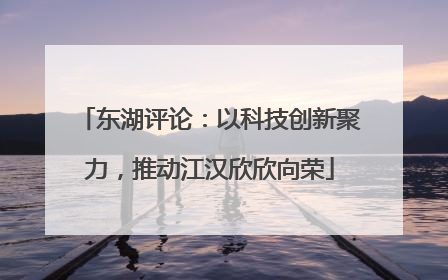 东湖评论：以科技创新聚力，推动江汉欣欣向荣