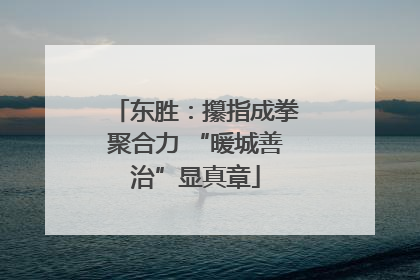东胜：攥指成拳聚合力 “暖城善治”显真章