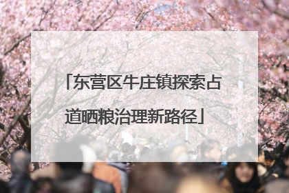 东营区牛庄镇探索占道晒粮治理新路径