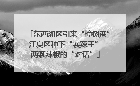 东西湖区引来“樟树港” 江夏区种下“襄辣王” 两颗辣椒的“对话”