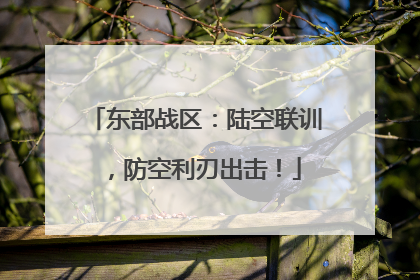 东部战区：陆空联训，防空利刃出击！