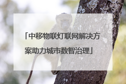 中移物联灯联网解决方案助力城市数智治理