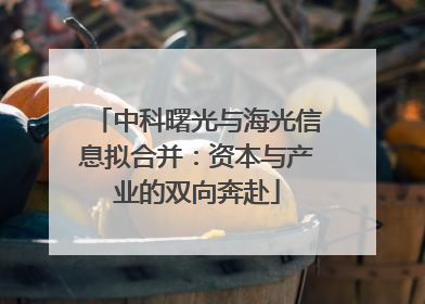 中科曙光与海光信息拟合并：资本与产业的双向奔赴