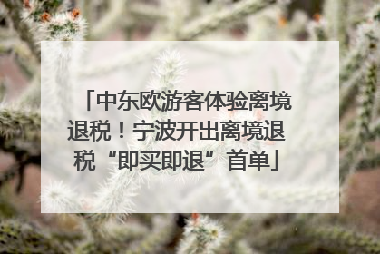 中东欧游客体验离境退税！宁波开出离境退税“即买即退”首单