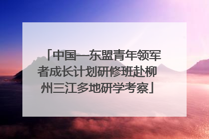 中国—东盟青年领军者成长计划研修班赴柳州三江多地研学考察