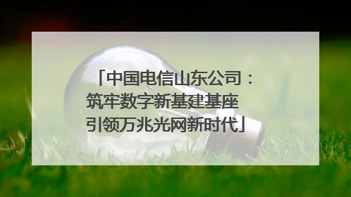 中国电信山东公司：筑牢数字新基建基座 引领万兆光网新时代