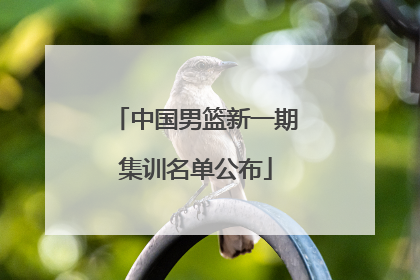 中国男篮新一期集训名单公布