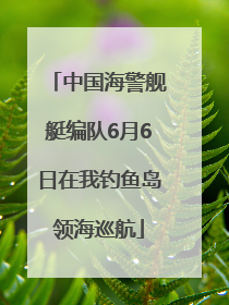 中国海警舰艇编队6月6日在我钓鱼岛领海巡航