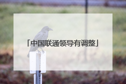 中国联通领导有调整