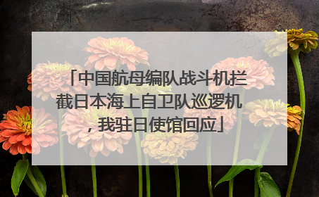 中国航母编队战斗机拦截日本海上自卫队巡逻机，我驻日使馆回应