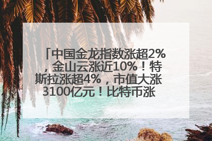 中国金龙指数涨超2%，金山云涨近10%！特斯拉涨超4%，市值大涨3100亿元！比特币涨回11万美元关口