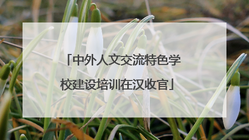 中外人文交流特色学校建设培训在汉收官