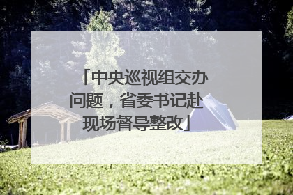 中央巡视组交办问题，省委书记赴现场督导整改