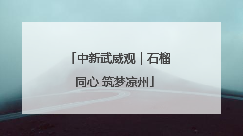 中新武威观｜石榴同心 筑梦凉州