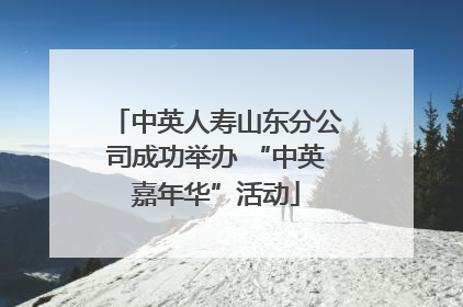 中英人寿山东分公司成功举办 “中英嘉年华”活动