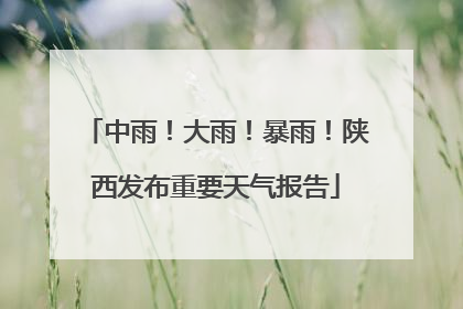 中雨！大雨！暴雨！陕西发布重要天气报告