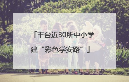 丰台近30所中小学建“彩色学安路”