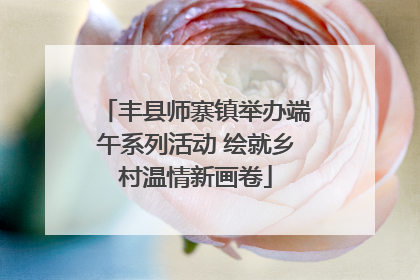 丰县师寨镇举办端午系列活动 绘就乡村温情新画卷