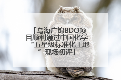 乌海广锦BDO项目顺利通过中国化学“五星级标准化工地”现场初评