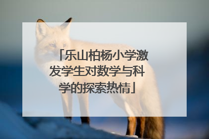 乐山柏杨小学激发学生对数学与科学的探索热情