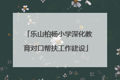 乐山柏杨小学深化教育对口帮扶工作建设