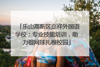 乐山高新区嘉祥外国语学校：专业技能培训，助力棍网球扎根校园