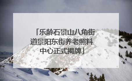 乐龄石景山八角街道景阳东街养老照料中心正式揭牌