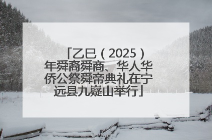 乙巳（2025）年舜裔舜商、华人华侨公祭舜帝典礼在宁远县九嶷山举行