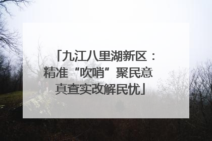 九江八里湖新区：精准“吹哨”聚民意 真查实改解民忧
