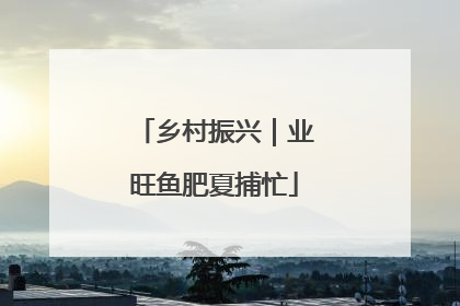 乡村振兴｜业旺鱼肥夏捕忙