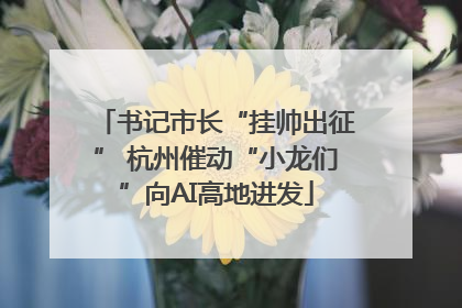 书记市长“挂帅出征” 杭州催动“小龙们”向AI高地进发
