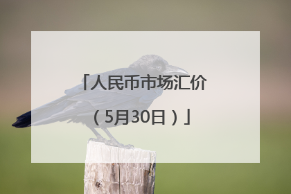 人民币市场汇价（5月30日）