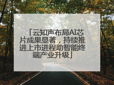 云知声布局AI芯片成果显著，持续推进上市进程助智能终端产业升级