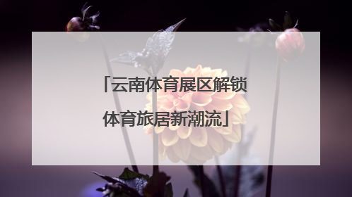 云南体育展区解锁体育旅居新潮流