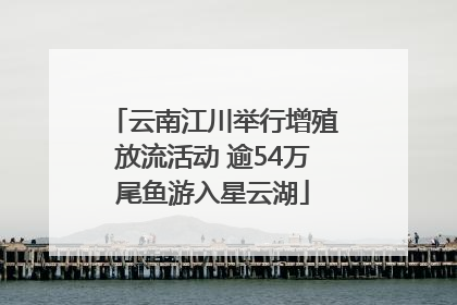 云南江川举行增殖放流活动 逾54万尾鱼游入星云湖