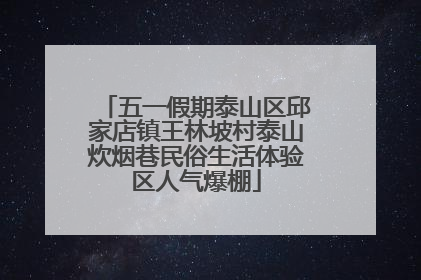 五一假期泰山区邱家店镇王林坡村泰山炊烟巷民俗生活体验区人气爆棚