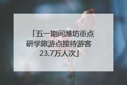 五一期间潍坊重点研学旅游点接待游客23.7万人次