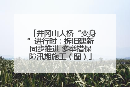 井冈山大桥“变身”进行时：拆旧建新同步推进 多举措保障汛期施工（图）
