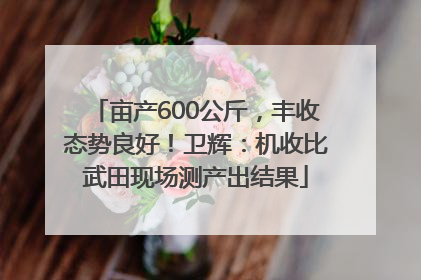 亩产600公斤，丰收态势良好！卫辉：机收比武田现场测产出结果