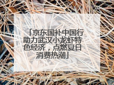 京东国补中国行助力武汉小龙虾特色经济，点燃夏日消费热潮