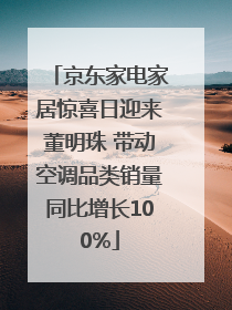 京东家电家居惊喜日迎来董明珠 带动空调品类销量同比增长100%