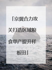 京冀合力攻关打造区域粮食单产提升样板田